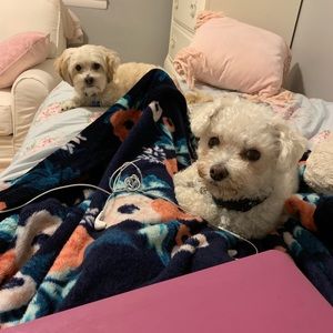 Meet your Posher, Gianna